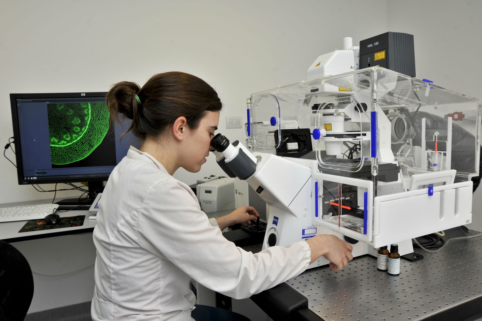 Logran monitorizar con rayos X la temperatura de nanopartículas en células tumorales 