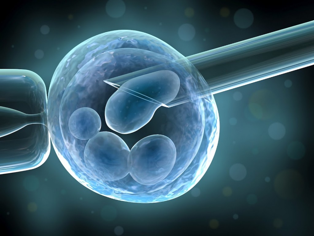 Zika crea un dilema para brasileñas que intentan fertilización in vitro 