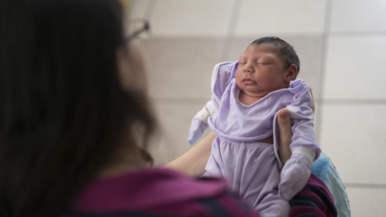 Científicos brasileños demuestran el vínculo entre el zika y la microcefalia 