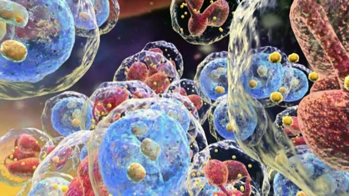 Hallado un nuevo biomarcador que predice la eficacia de la inmunoterapia en cáncer de colon 