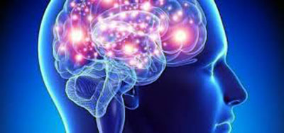 Neurólogos analizarán encefalopatía epiléptica 