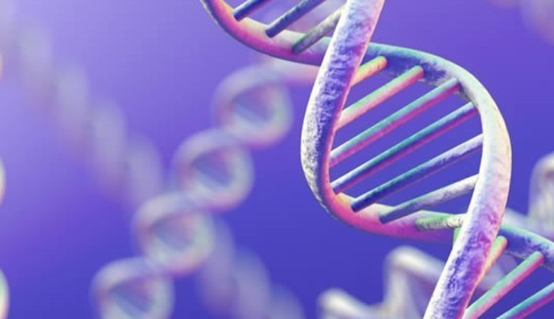 Un importante avance permite estudiar las mutaciones genéticas en cualquier tejido 
