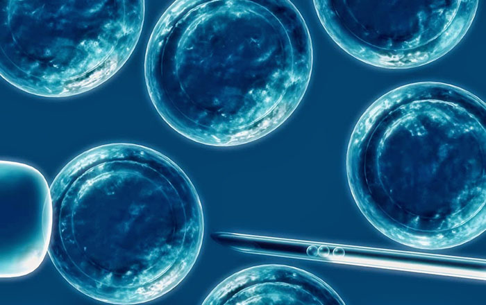 Firman acuerdo para investigar células madre modificadas genéticamente para impulsar la inmunoterapia contra el cáncer 