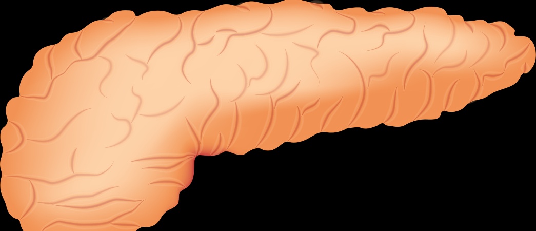 Estudio revela combinación de fármacos supone un tratamiento menos tóxico para abordar cáncer de páncreas 