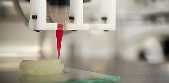 Científicos crean un minihígado funcional mediante impresión 3D 
