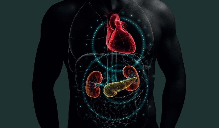 La grasa de las arterias se acumula de forma rápida en personas sanas a partir de los 40 años 