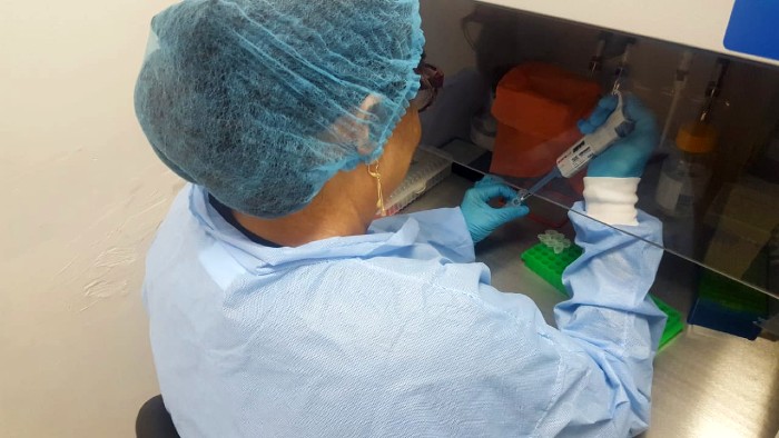Clínica Cruz Jiminián realizará más de 1 mil pruebas Covid-19 diarias 