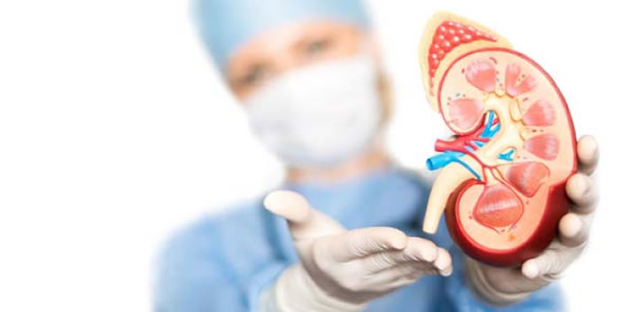 Valoran aumento de cobertura para trasplante renal 