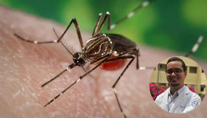 Dengue: Herramienta esencial del médico dominicano 