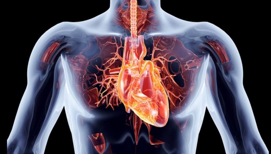 Biomateriales con capacidad para curar enfermedades cardiovasculares 