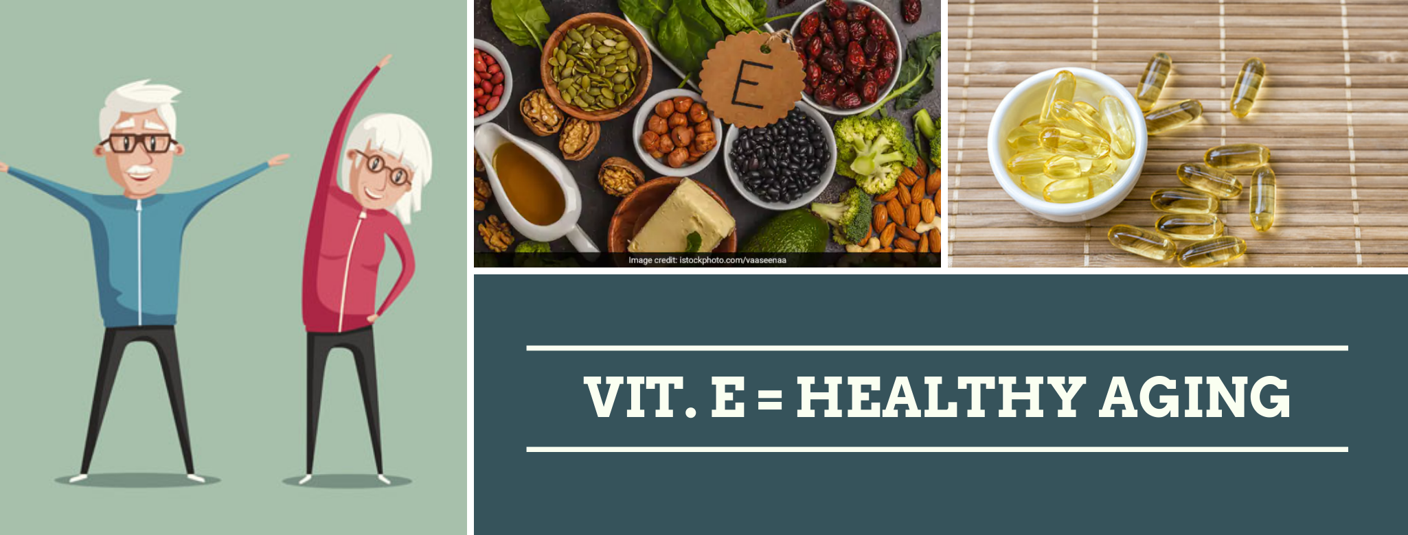 Vitamina E y su uso para un envejecimiento saludable 