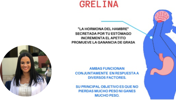 Grelina y almacenamiento de grasa 