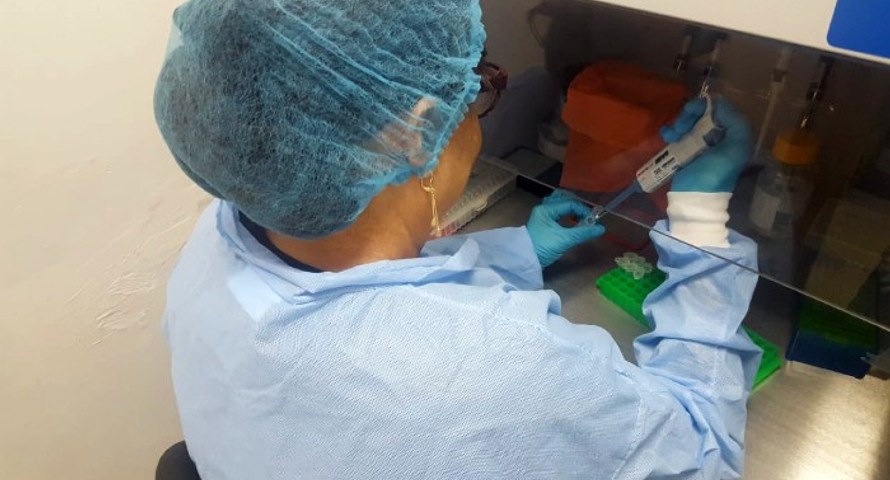 Investigadores logran importante regresión del cáncer de pulmón en ratones 