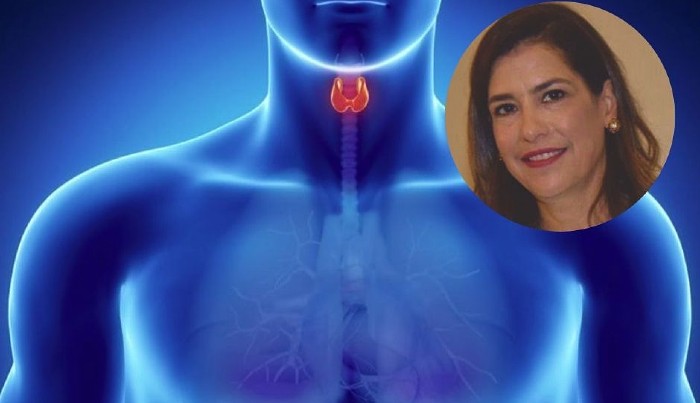 ¿Quién tiene riesgo de tener cáncer en la tiroides y cómo se trata el cáncer de tiroides? 
