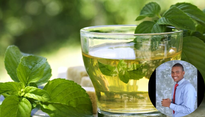 Beneficios del té verde 