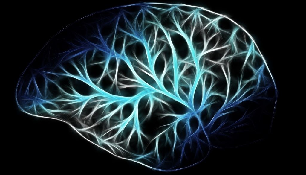Hallan cobre y hierro elemental en el cerebro de pacientes de Alzheimer ya fallecidos 