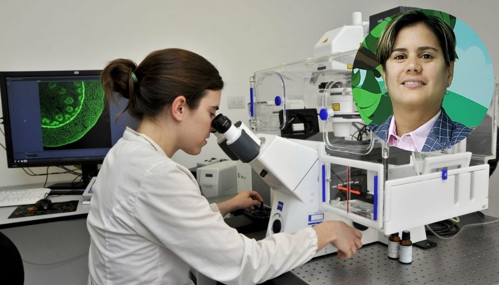 Doctora Wendy C. Gómez García  ingresa a Carrera de Investigadores del MESCyT 