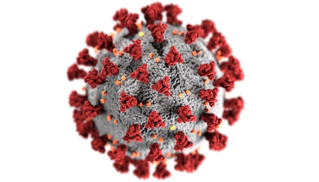 Descubren una nueva cepa de coronavirus en Túnez 