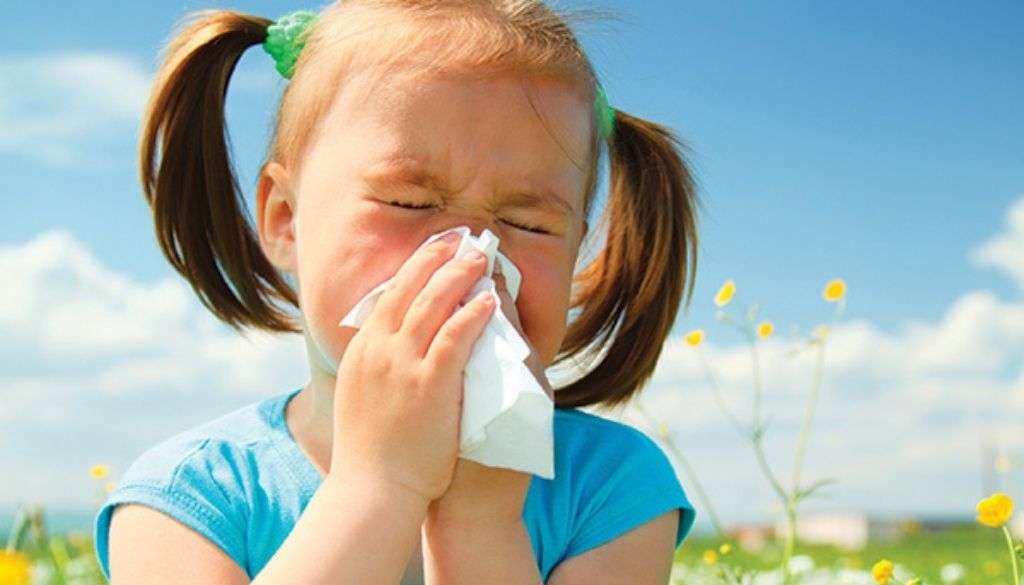 Cambio climático y alergias: la tormenta perfecta para la salud respiratoria 