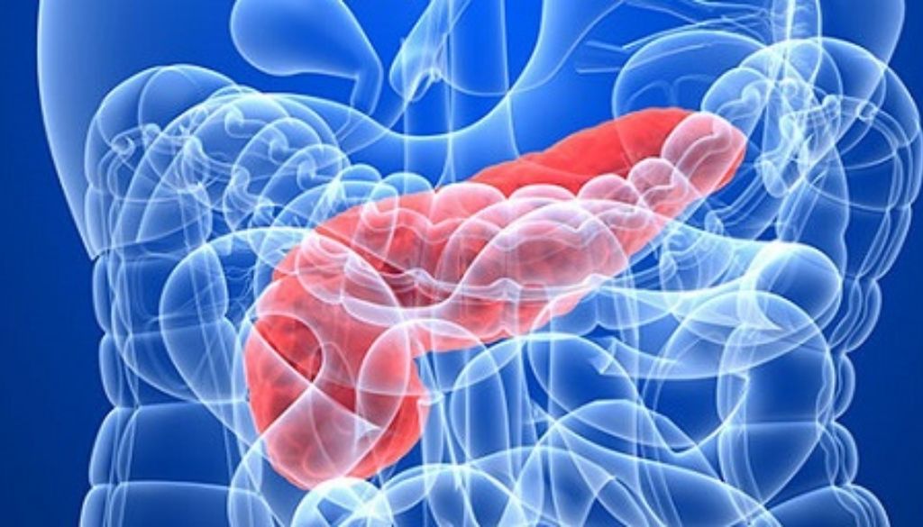 Identifican un nuevo factor que determina la agresividad del cáncer de páncreas 