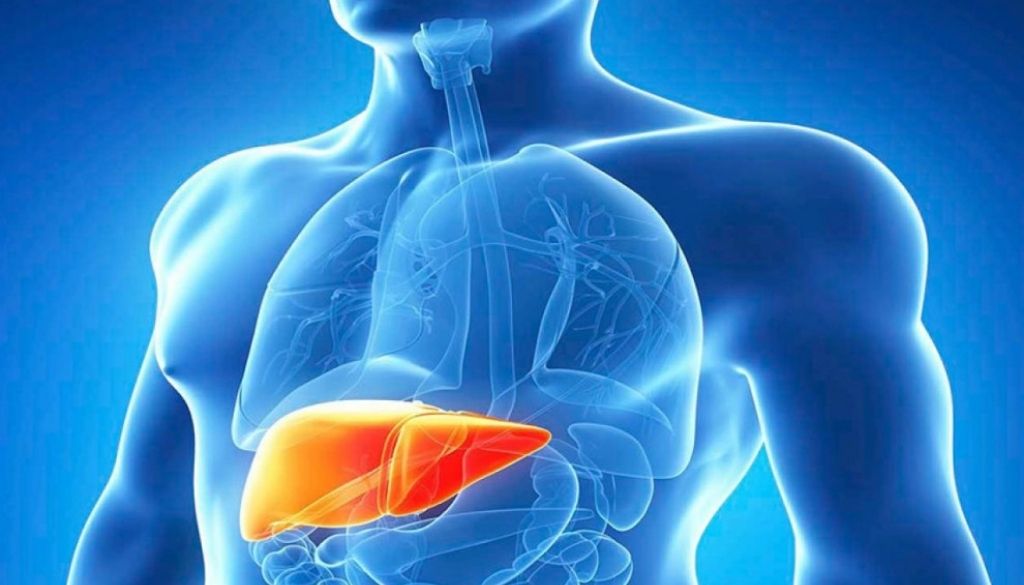 Identifican nuevas causas congénitas de daño hepático 