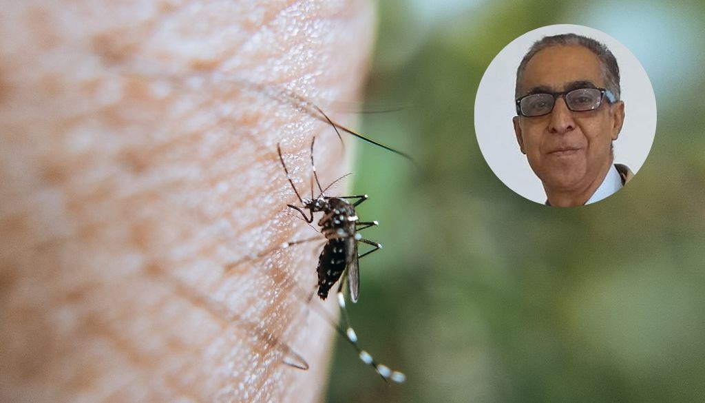 Califican de deficiente respuesta contra dengue en el país 