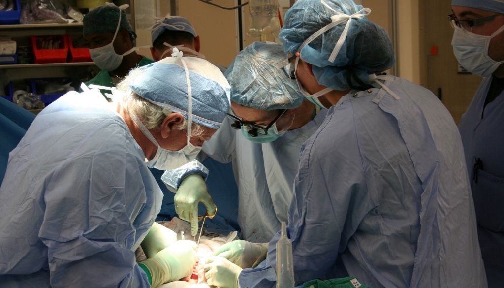 Realizan primer trasplante de intestino de donante fallecido 