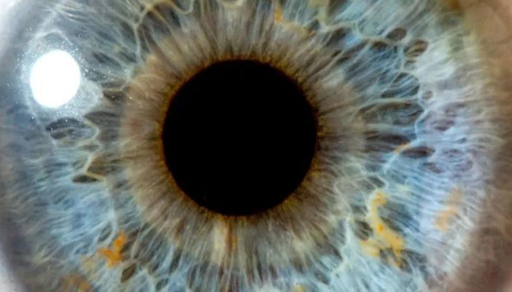 Las arrugas en las capas de la retina, un indicador del alzhéimer 