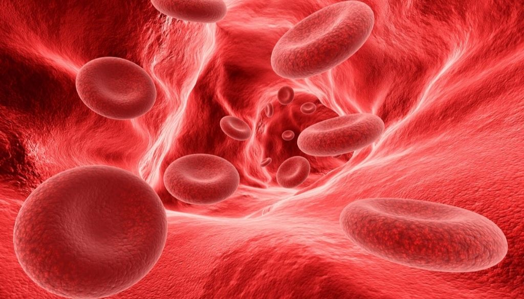 Desarrollan técnica de análisis para predecir complicaciones en hipercolesterolemia familiar 
