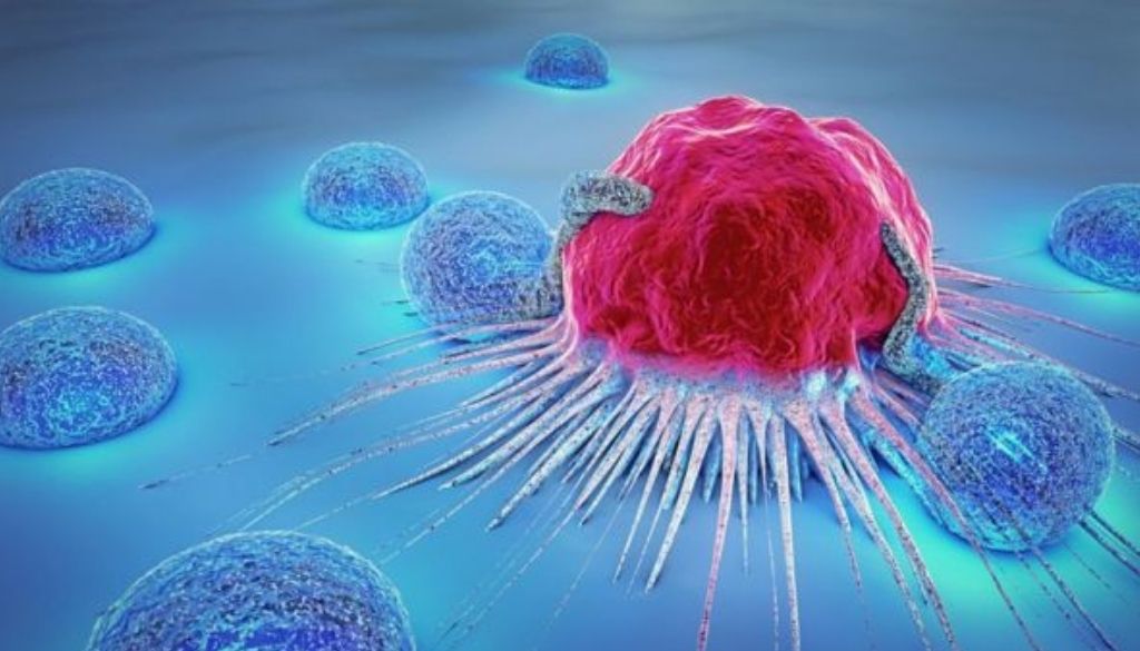 Descubren cómo la interacción de dos proteínas puede ser clave en el cáncer 