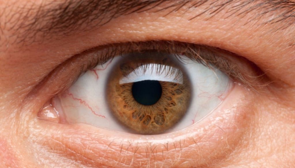 Destacan necesidad de tratar retinopatía diabética para prevenir ceguera 