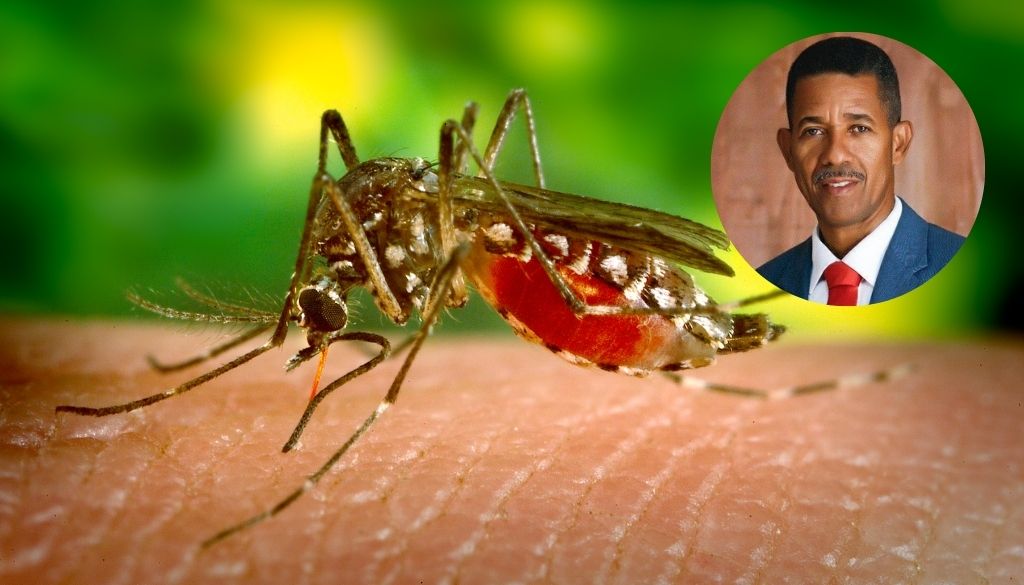 Aseguran repunte casos dengue continúa en el país 
