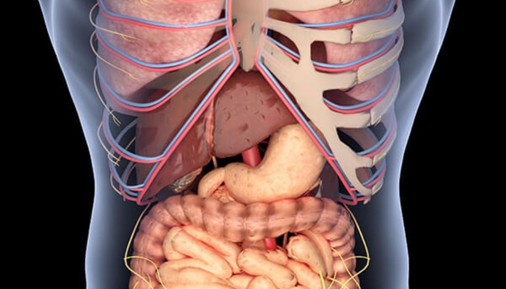 Publican revisión sobre papel inmunoterapia en carcinoma hepatocelular 