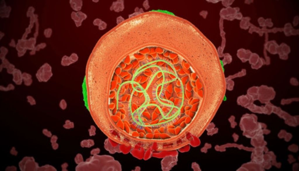 Descifran molécula natural inhibe replicación del virus de la hepatitis C 