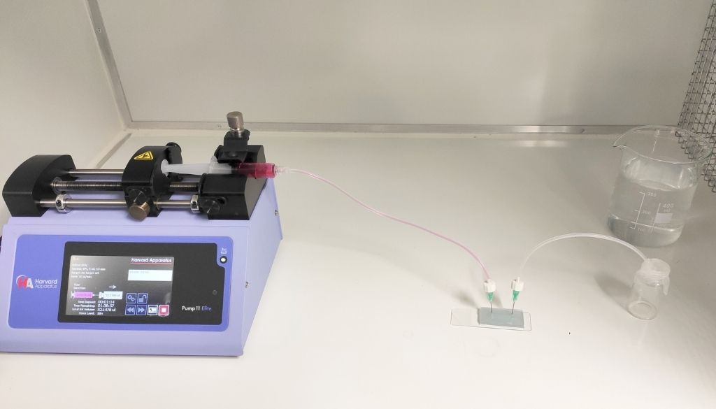 Investigadores desarrollan un biochip que permite fabricación de piel in vitro 