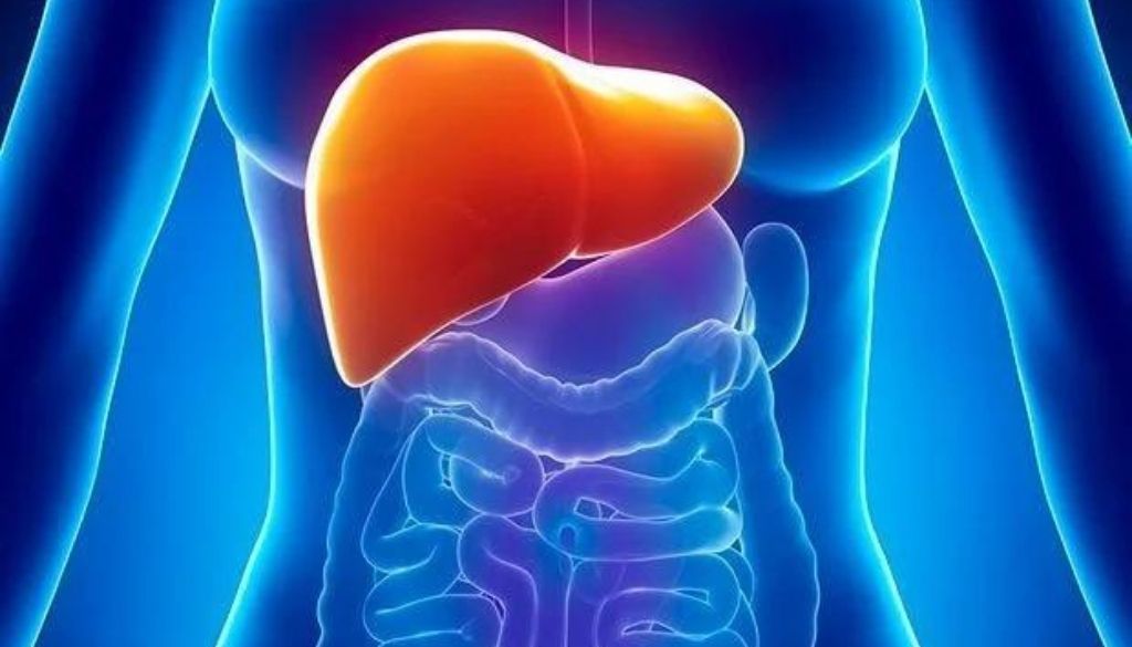 Nuevas soluciones para el diagnóstico y tratamiento de la Hepatitis D 