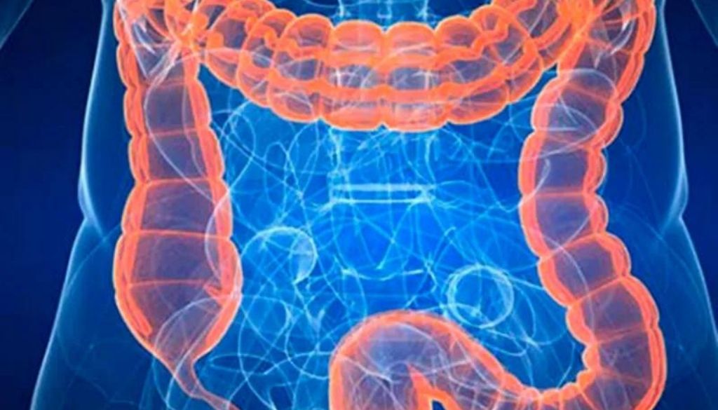 Compuesto de la flora intestinal podría ayudar en  prevención y tratamiento de bronquiolitis 