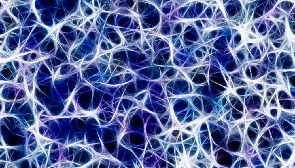 Descubren nuevas proteínas reguladoras involucradas en formación circuitos neuronales   