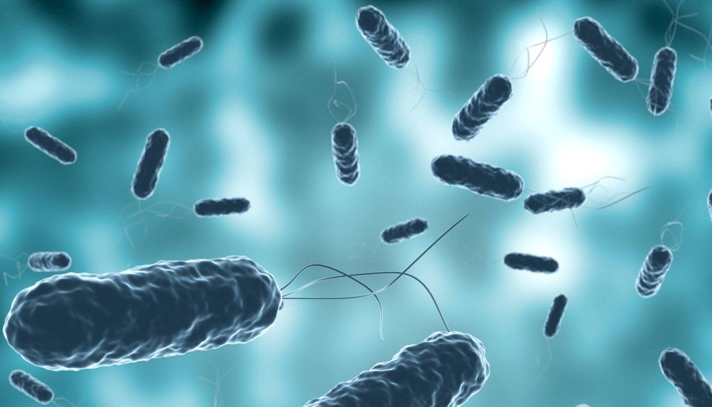 Estructura de una proteína unida al ADN revela cómo se activa la toxicidad de la bacteria del cólera 