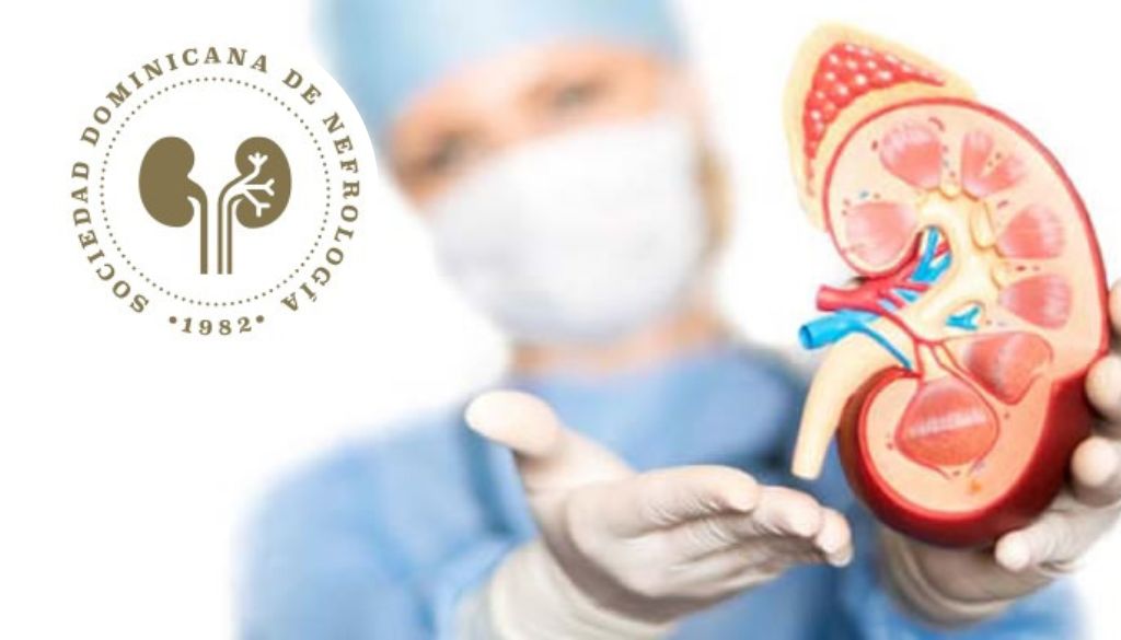 Sociedad de Nefrología abordará nuevas alternativas en el manejo de la enfermedad renal crónica 