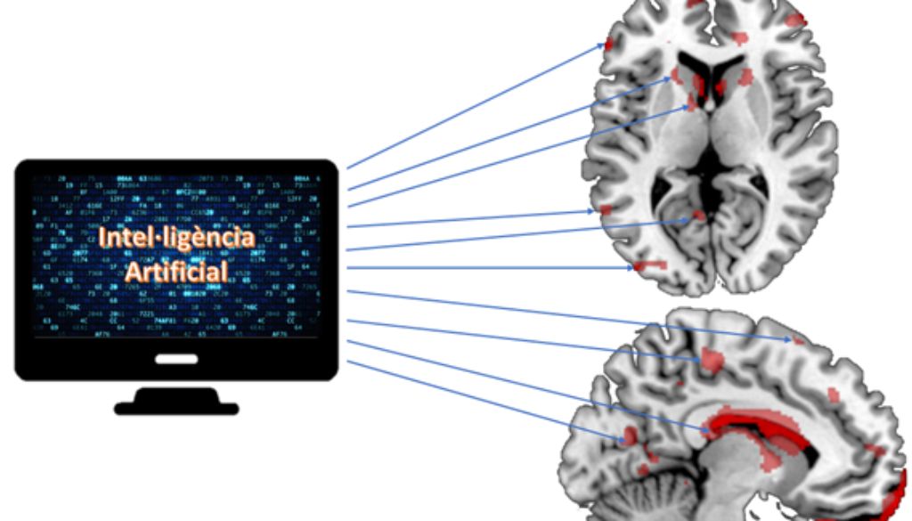 Descubren nueva arquitectura dinámica del cerebro mediante resonancia magnética 