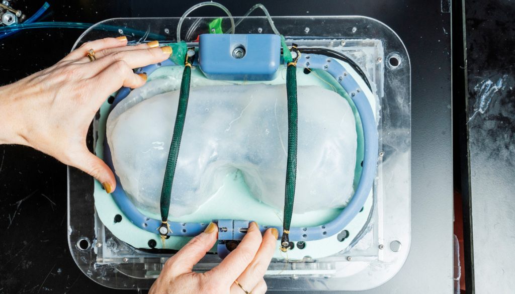 Diseñan ventilador robótico para mejorar respiración en personas con disfunción del diafragma 