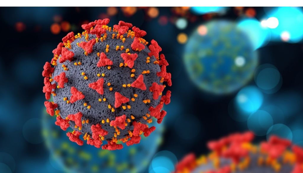Virus envueltos tienen mayor capacidad saltar de animales a humanos 