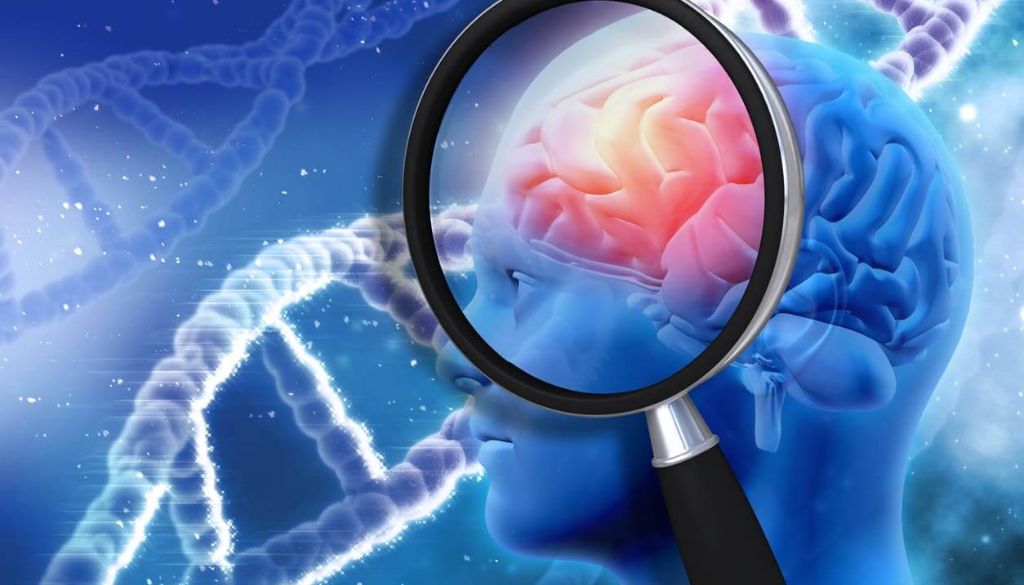Estudio revela cómo se extienden las proteínas perjudiciales en el cerebro de pacientes con Alzheimer 