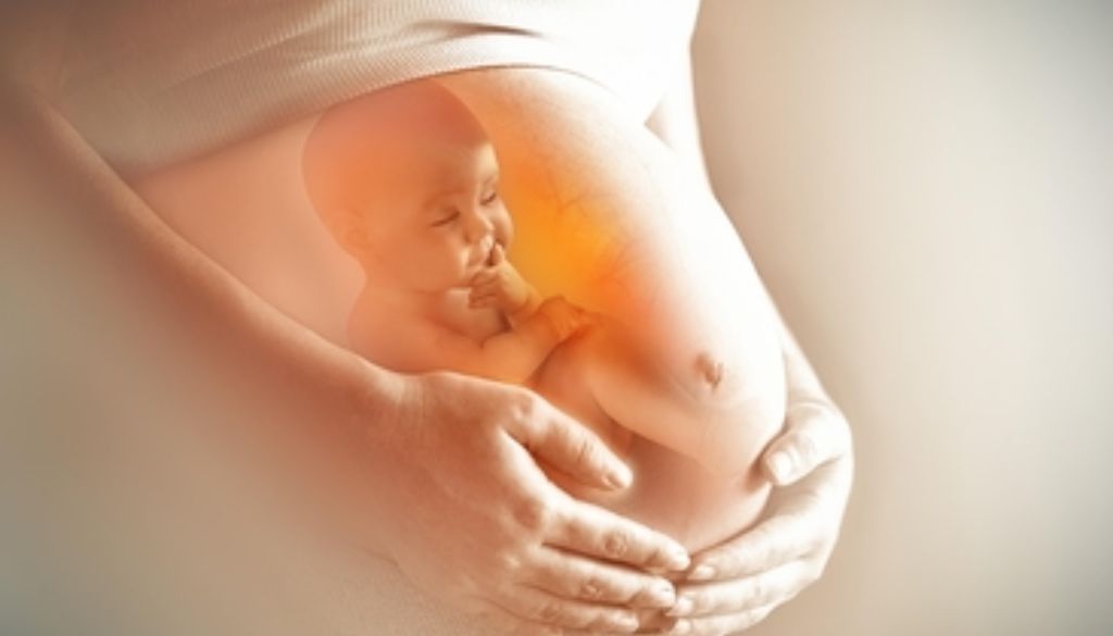 20% de mujeres embarazadas padecen desnutrición en RD 