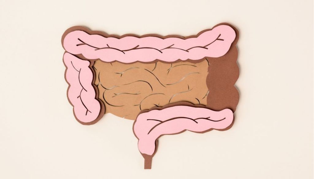 Estudio profundiza relación entre el microbioma intestinal y la diabetes 