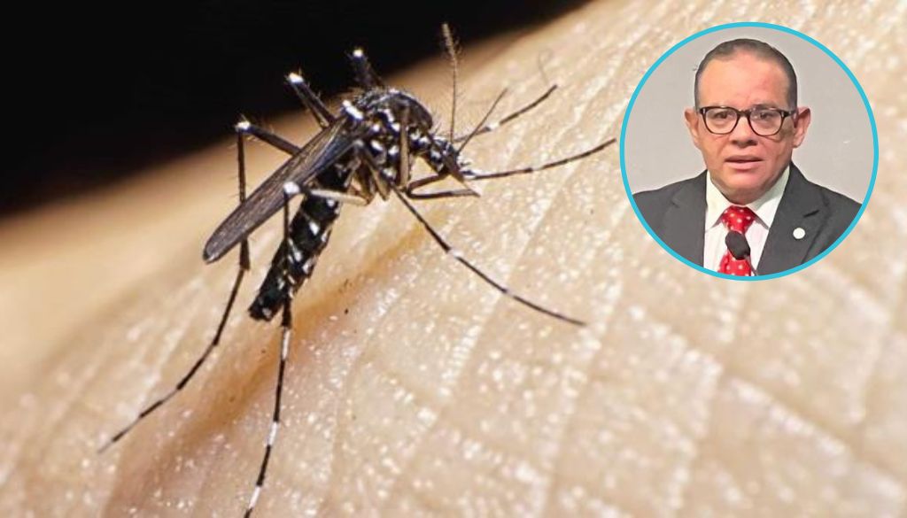 Epidemiólogo emite consideraciones sobre el incremento de dengue  