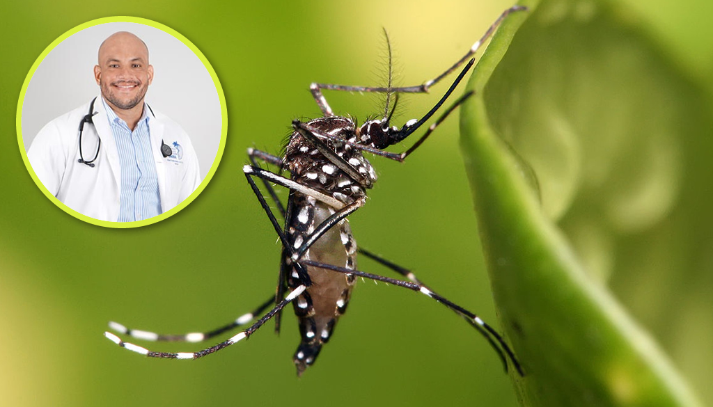 Transmisión intrauterina del dengue ¿Es algo nuevo? 