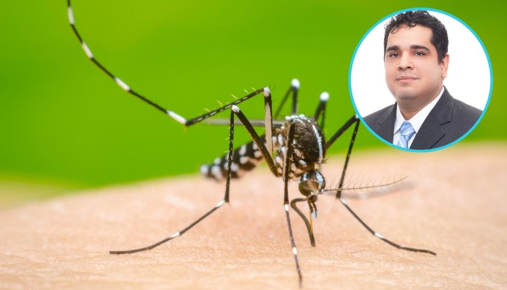 Advierten Gobierno no ha querido reconocer epidemia por dengue en el país 