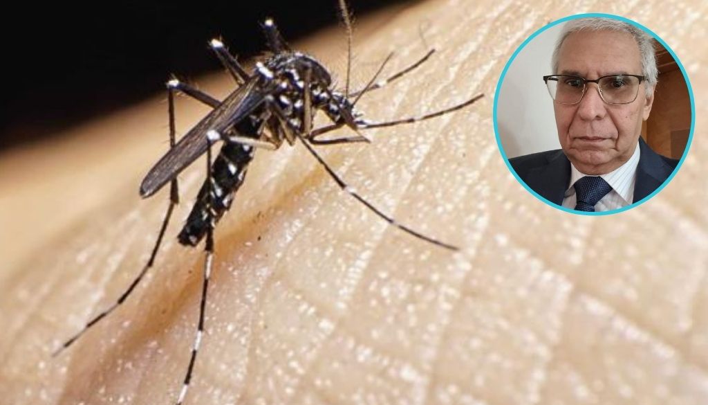 Dengue, más epidemiología y menos politiquería 